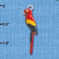 C2623+ - Parrot - 3-D - Silver Charm